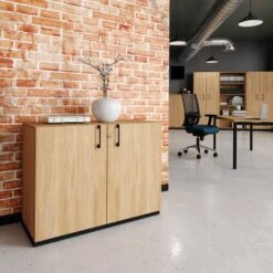 CHOICE Flügeltürenschrank | 2 OH, 1000 X 760 Mm, Bernsteineiche