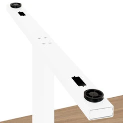 T-EASY Konferenztisch | 1800 X 1000 Mm (6 - 8 Personen), Bootsform, Bernsteineiche -Möbel Pro Verkauf EASY Konferenztisch Bootsform 180x100 cm Bernstein 3