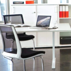 EVA Freischwinger | Armlehnen Wählbar, Bezugsstoffe VELITO / LUCIA -Möbel Pro Verkauf Freischwinger Stapelbar Besucherstuhl Konferenzst 11