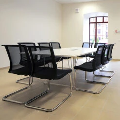 EVA Freischwinger | Armlehnen Wählbar, Bezugsstoffe VELITO / LUCIA -Möbel Pro Verkauf Freischwinger Stapelbar Besucherstuhl Konferenzst 13