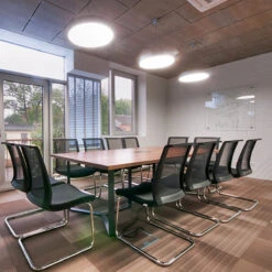 EVA Freischwinger | Armlehnen Wählbar, Bezugsstoffe VELITO / LUCIA -Möbel Pro Verkauf Freischwinger Stapelbar Besucherstuhl Konferenzst 16