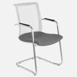 EVA Freischwinger | Armlehnen, Stapelbar, Bezugsstoffe BERTA / LUCIA / VELITO / SYNERGY -Möbel Pro Verkauf Freischwinger Stapelbar Besucherstuhl Konferenzstu 5 1