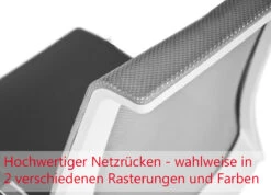 EVA Freischwinger | Armlehnen Wählbar, Bezugsstoffe VELITO / LUCIA -Möbel Pro Verkauf Freischwinger Stapelbar Besucherstuhl Konferenzstu 6