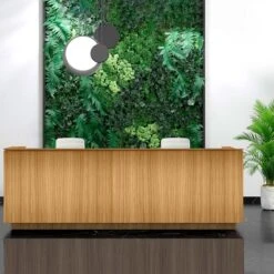 ICE Empfangstheke | 3214 X 1022 Mm, Eiche Furnier -Möbel Pro Verkauf ICE Empfangstheke Eiche Furnier 321 Zentimeter Theke Empfang Rezeption Empfangstisch 1