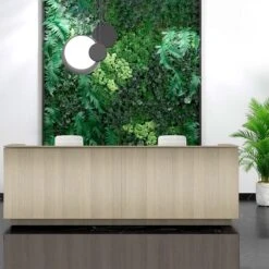 ICE Empfangstheke | 3214 X 1022 Mm, Sandesche -Möbel Pro Verkauf ICE Empfangstheke Sandesche 321 Zentimeter Theke Empfang Rezeption Empfangstisch 1