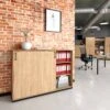 CHOICE Schiebetürenschrank | 3 OH, 1600 X 1115 Mm, Bernsteineiche -Möbel Pro Verkauf Schiebetuerenschrank CHOICE abschliessbar 3 OH 160 x 111 5 cm Schrank Bueroschrank Sideboard Highboard Bernsteineiche